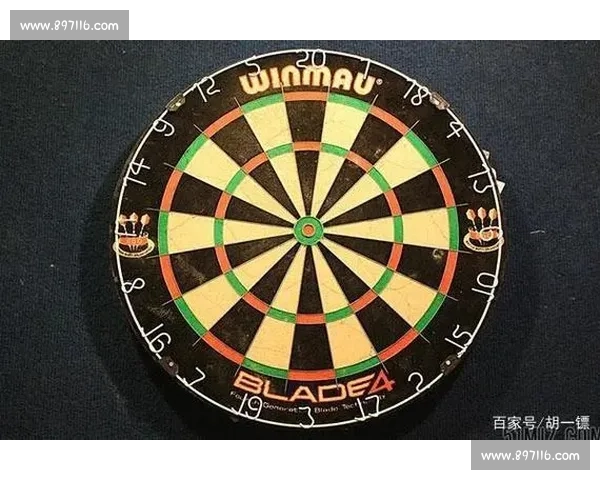 投飞镖比赛规则详解及技巧指导助你成为飞镖高手 投飞镖比赛规则详解及技巧指导助你成为飞镖高手